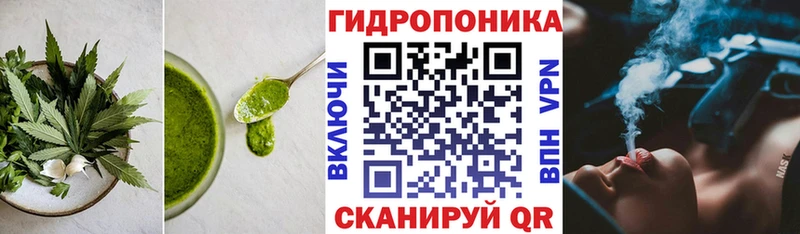 Купить  Кингисепп  Печенье с ТГК конопля 