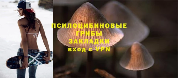 spice Бугульма