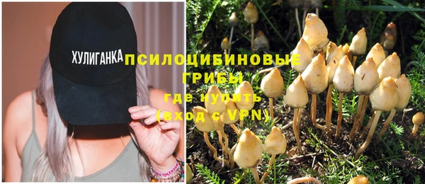 spice Бугульма